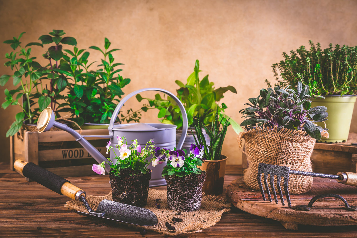 33 the Potting Shed - Garden Range 2025